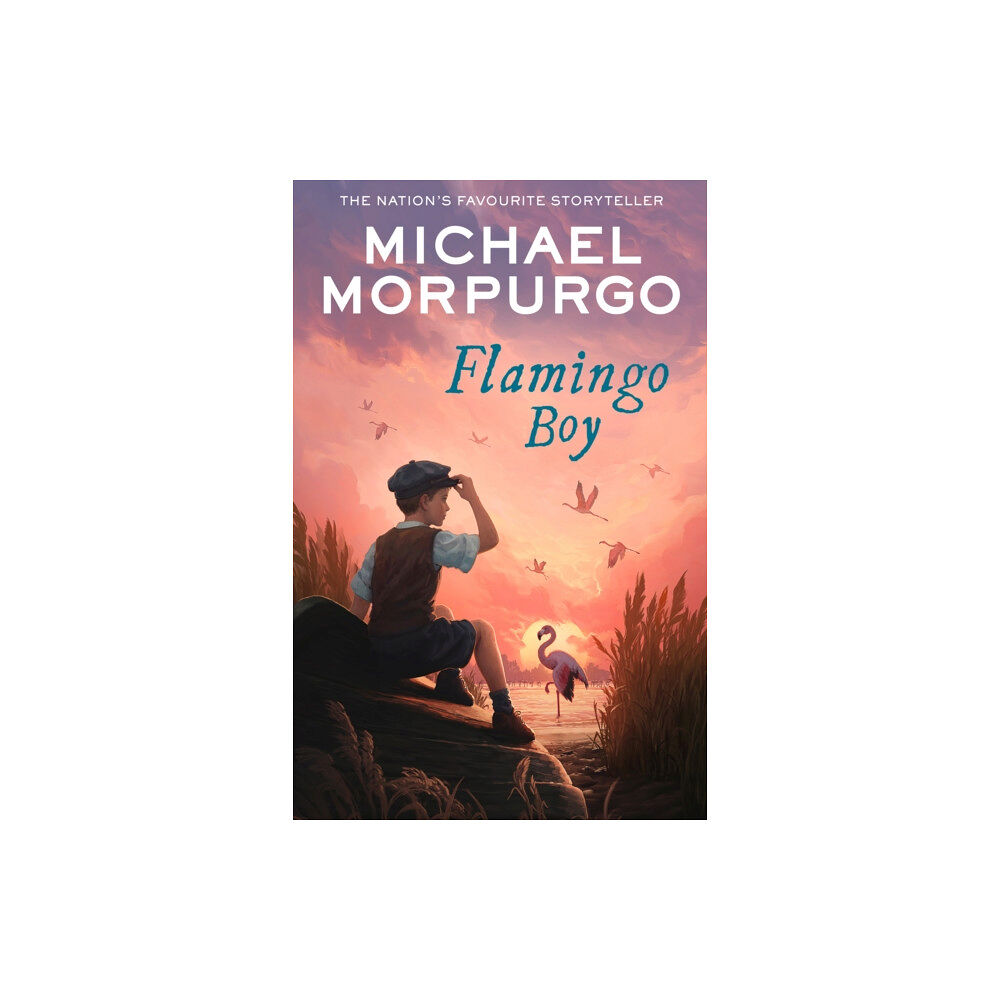 HarperCollins Publishers Flamingo Boy (häftad, eng)