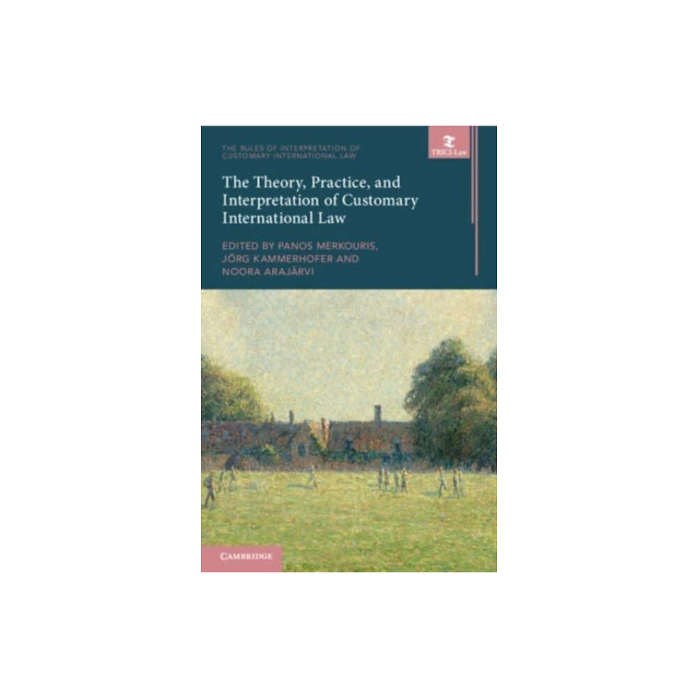 Cambridge University Press The Theory, Practice, and Interpretation of Customary International Law (häftad, eng)