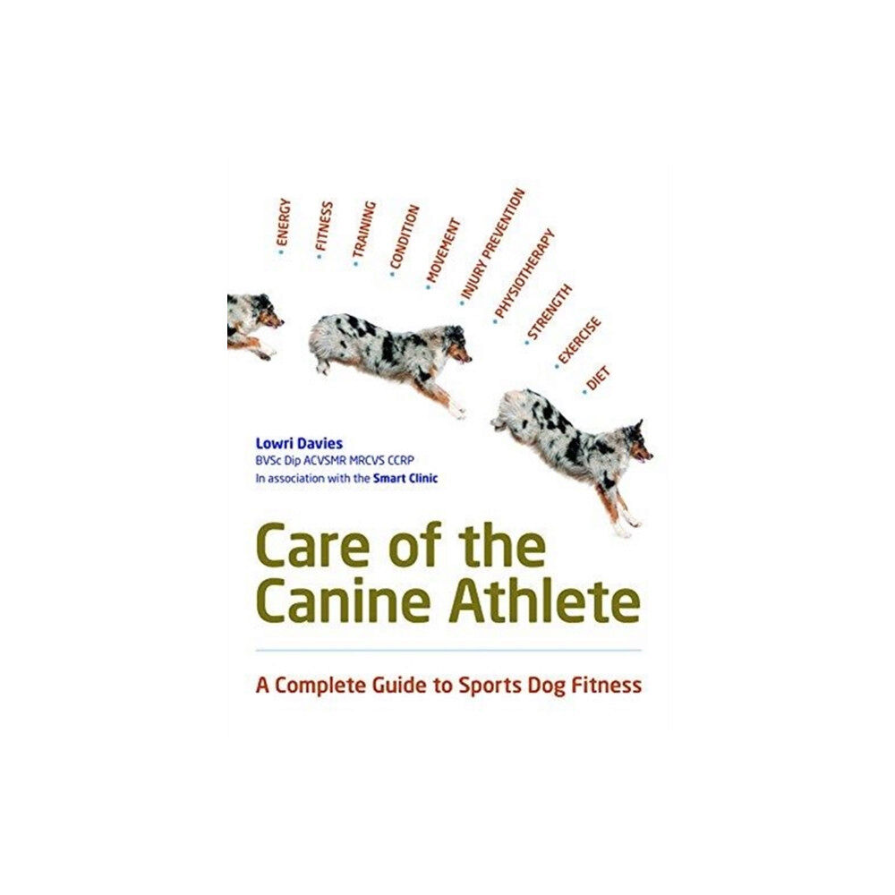 First Stone Publishing Care Of The Canine Athlete (häftad, eng)