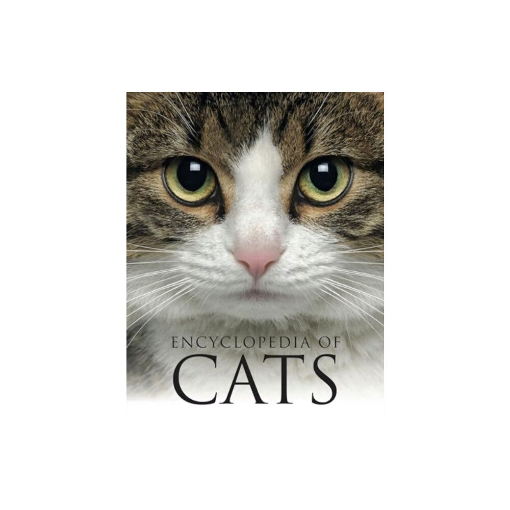 Amber Books Ltd Encyclopedia of Cats (häftad, eng)