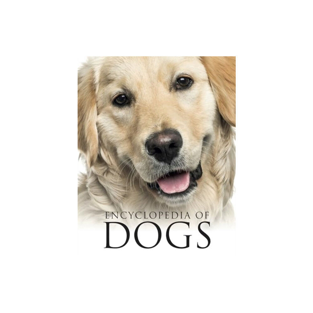 Amber Books Ltd Encyclopedia of Dogs (häftad, eng)