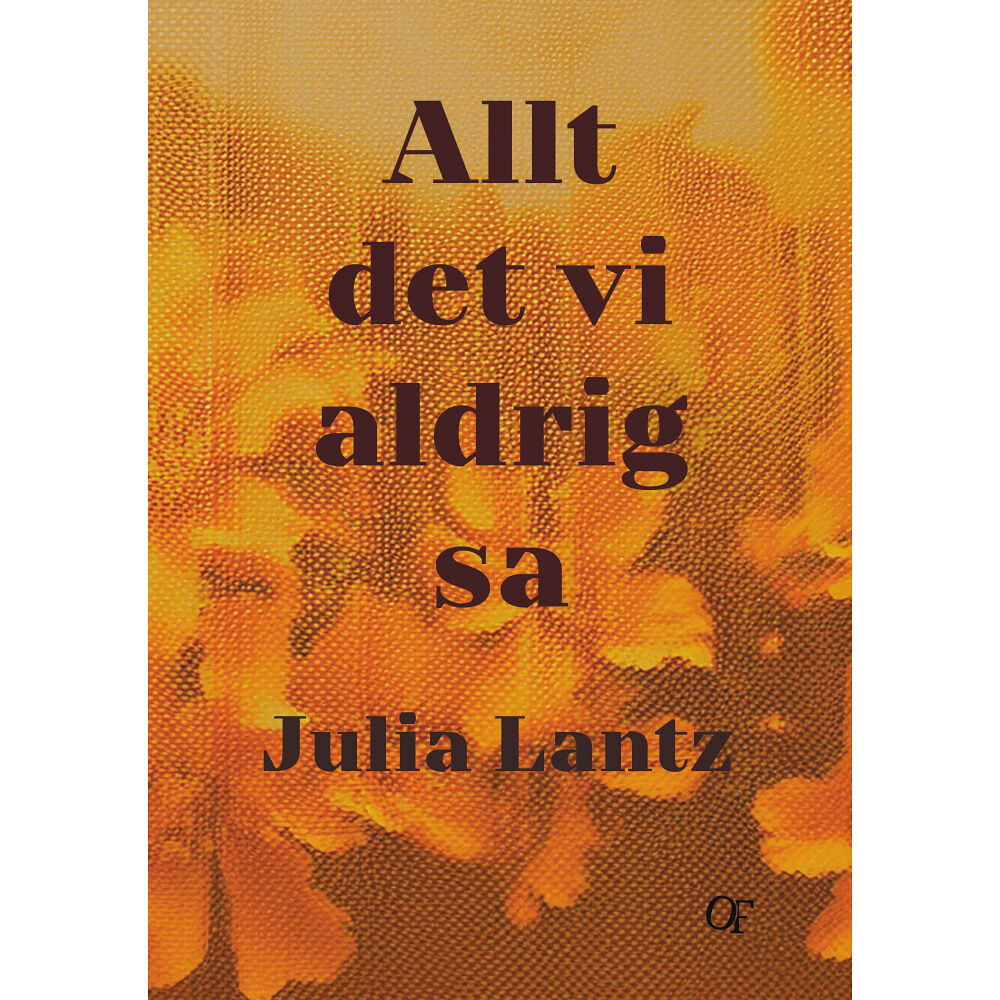 Julia Lantz Allt det vi aldrig sa (inbunden)