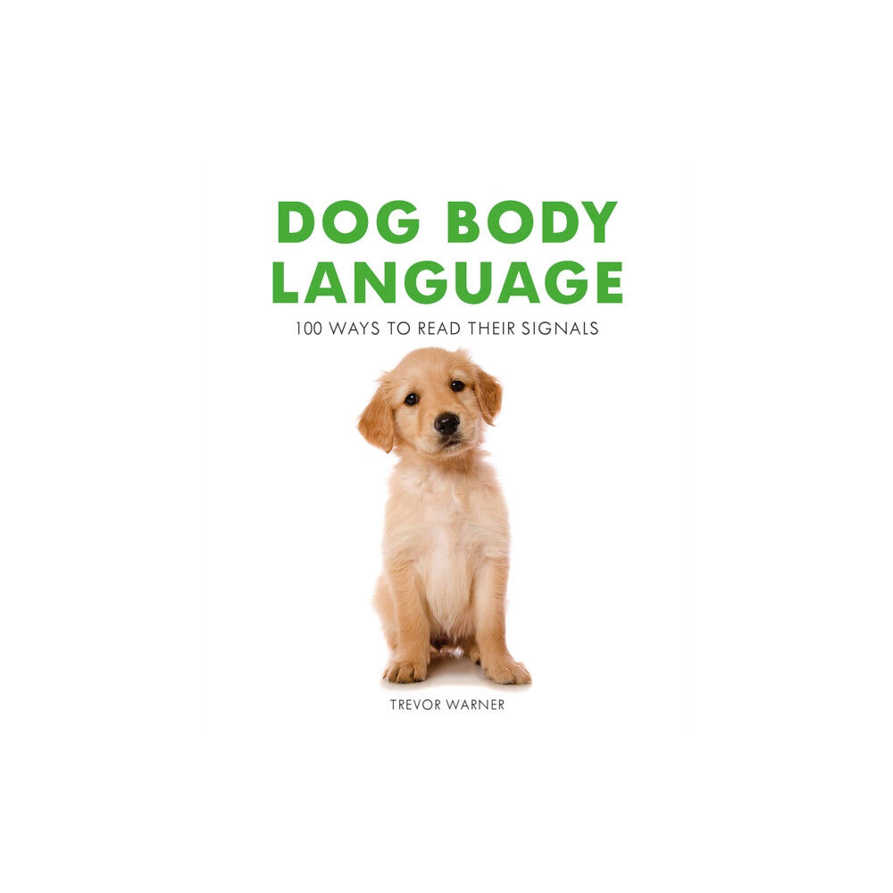 HarperCollins Publishers Dog Body Language (häftad, eng)