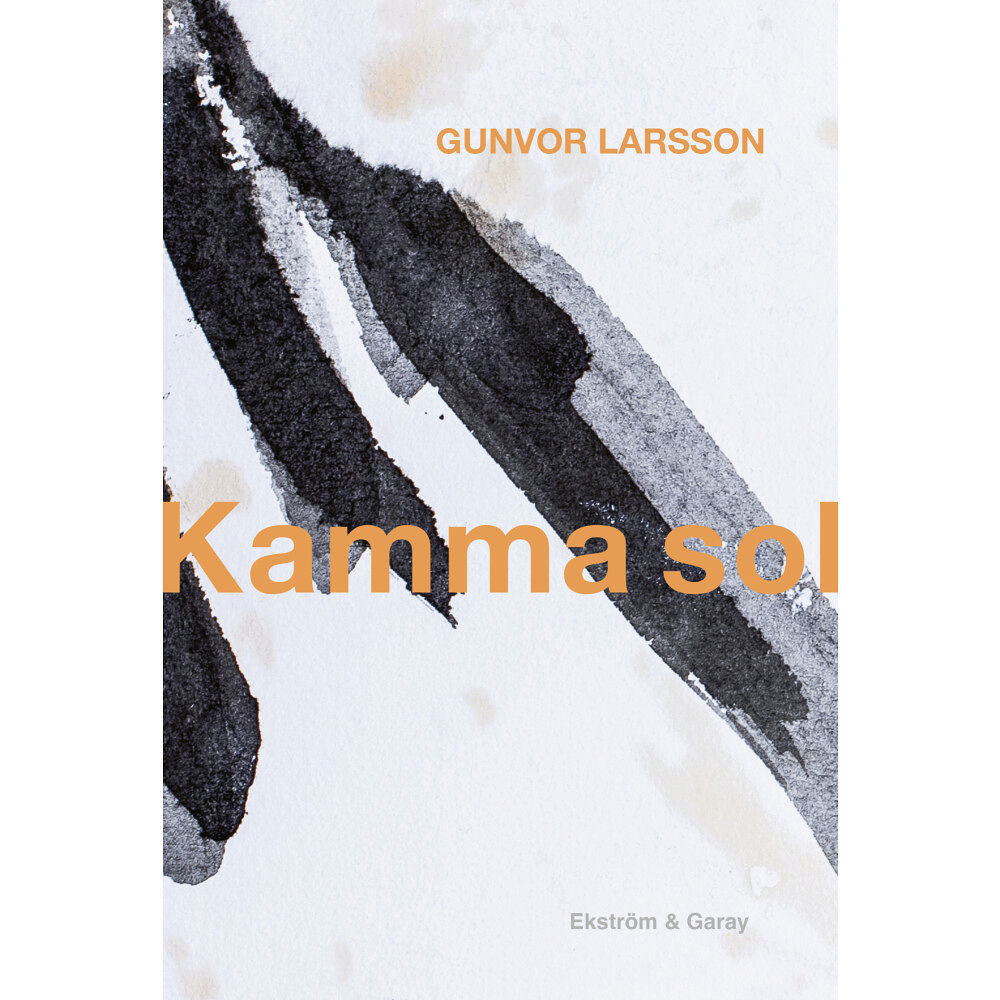 Gunvor Larsson Kamma sol (bok, danskt band)