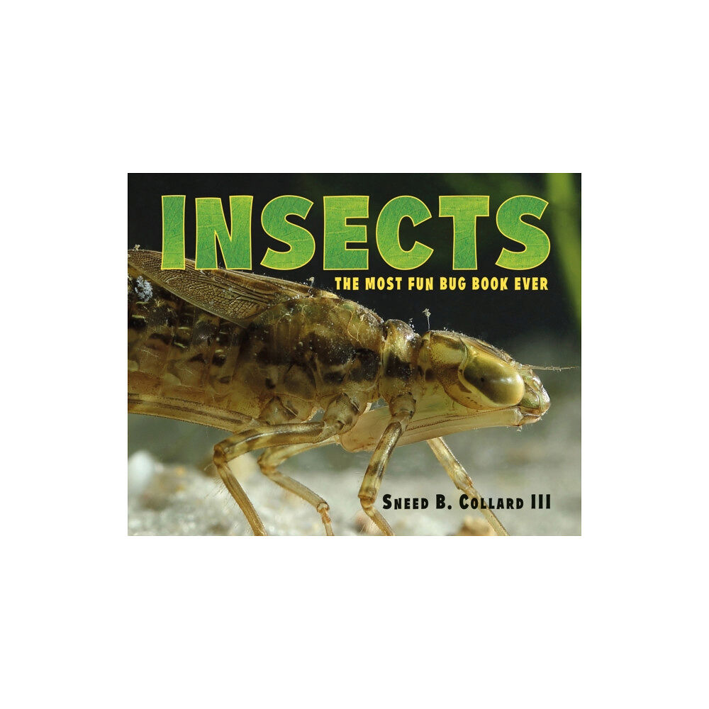 Charlesbridge Publishing,U.S. Insects (inbunden, eng)