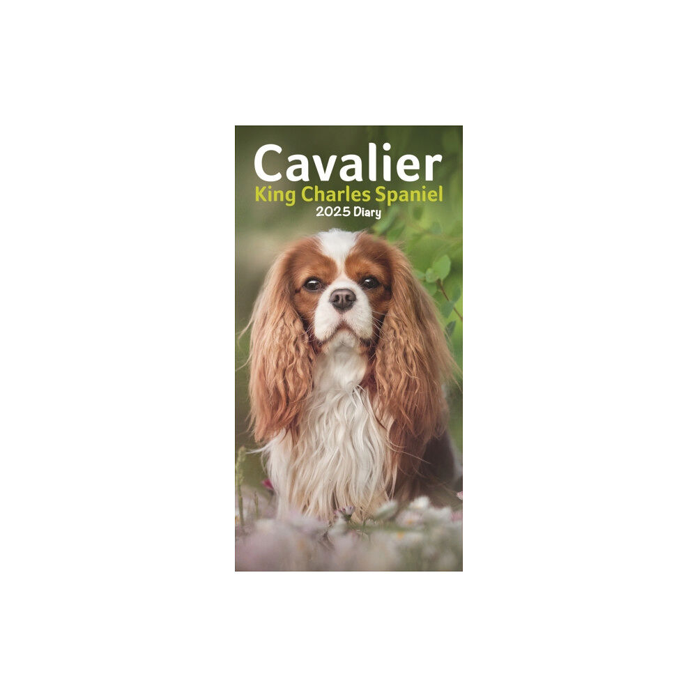 Carousel Calendars Cavalier King Charles Spaniels Slim Diary 2025 (häftad, eng)