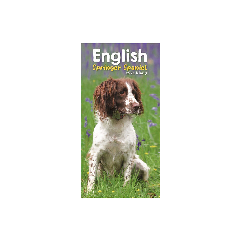 Carousel Calendars English Springer Spaniels Slim Diary 2025 (häftad, eng)