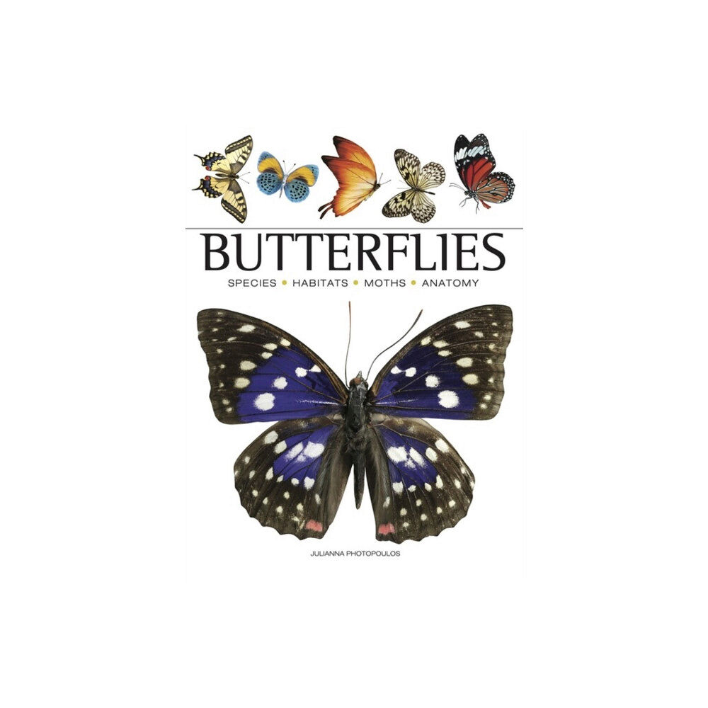 Amber Books Ltd Butterflies (häftad, eng)