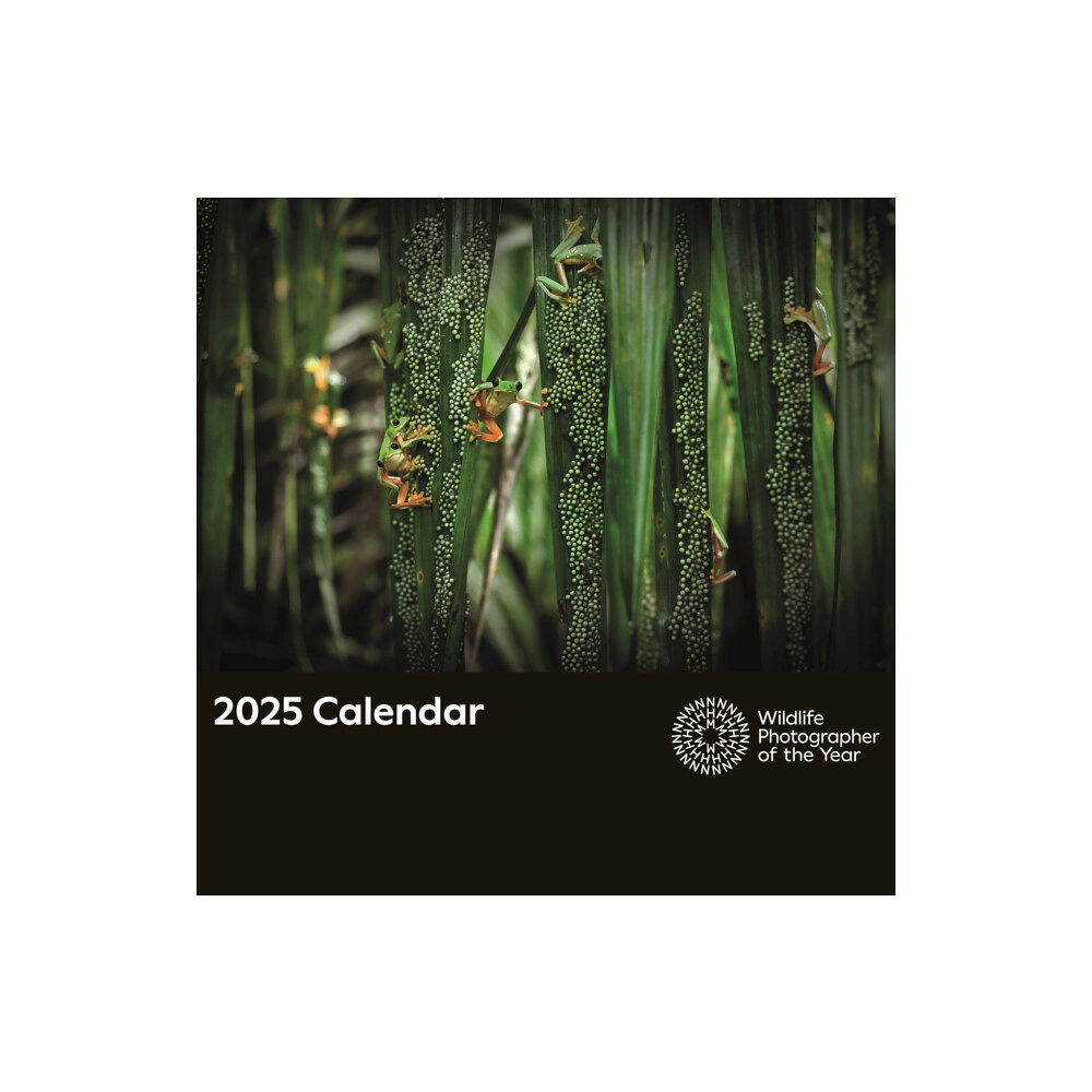 Portico Designs Ltd Wildlife Photographer of the Year Square Wall Calendar 2025 (häftad, eng)