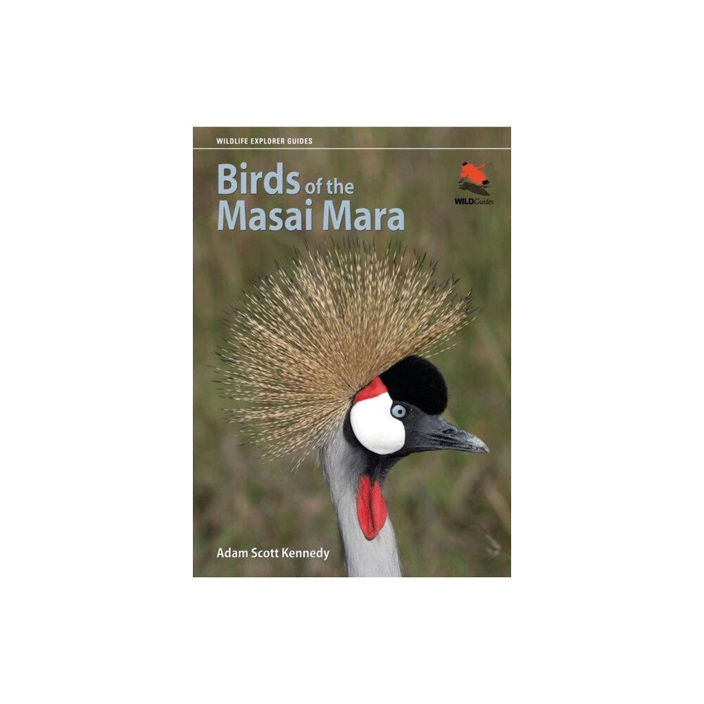 Princeton University Press Birds of the Masai Mara (häftad, eng)