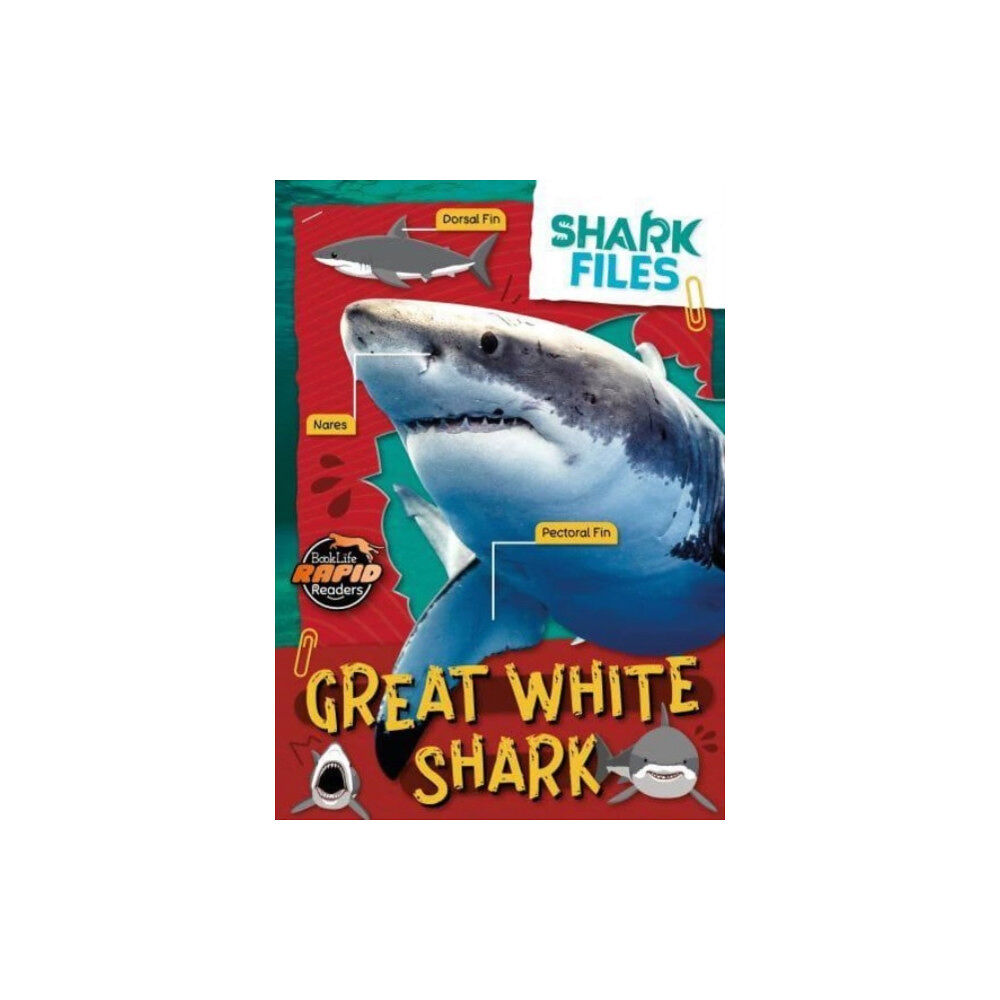 BookLife Publishing Great White Shark (häftad, eng)