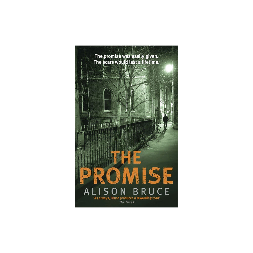 Little, Brown Book Group The Promise (häftad, eng)