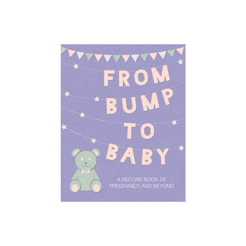 Ryland, Peters & Small Ltd From Bump to Baby (inbunden, eng)