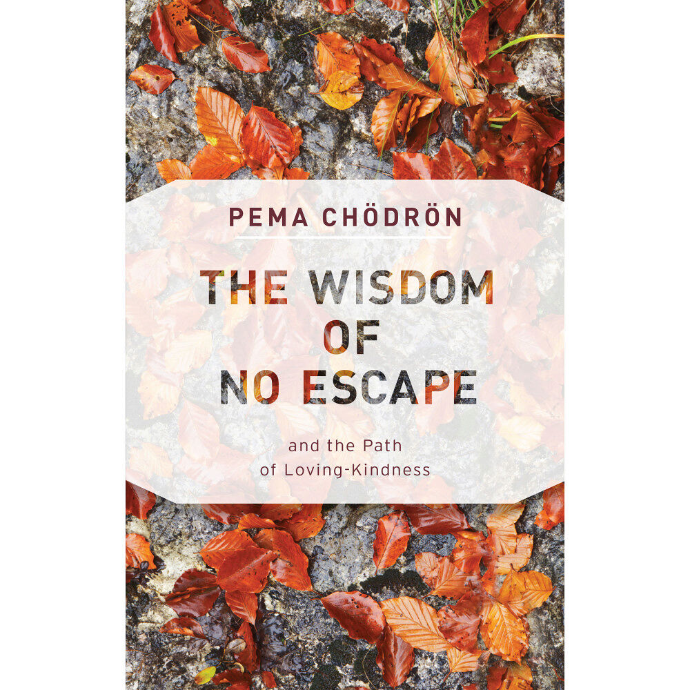 Pema Chodron The Wisdom of No Escape (häftad, eng)