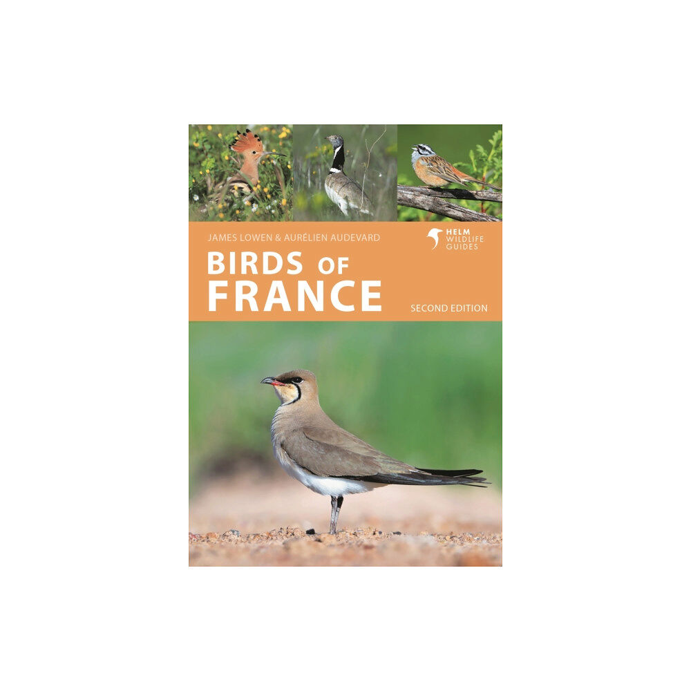 Bloomsbury Publishing PLC Birds of France (häftad, eng)