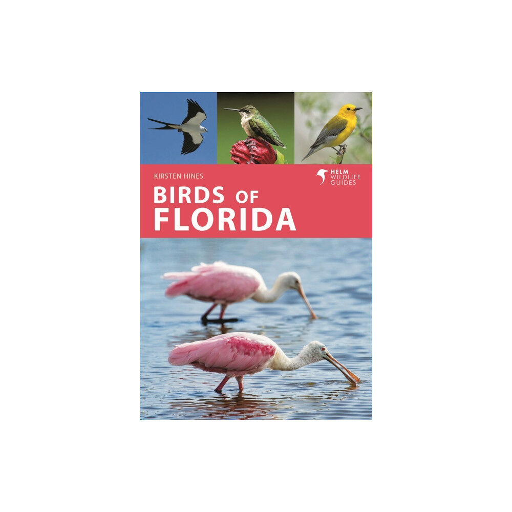 Bloomsbury Publishing PLC Birds of Florida (häftad, eng)