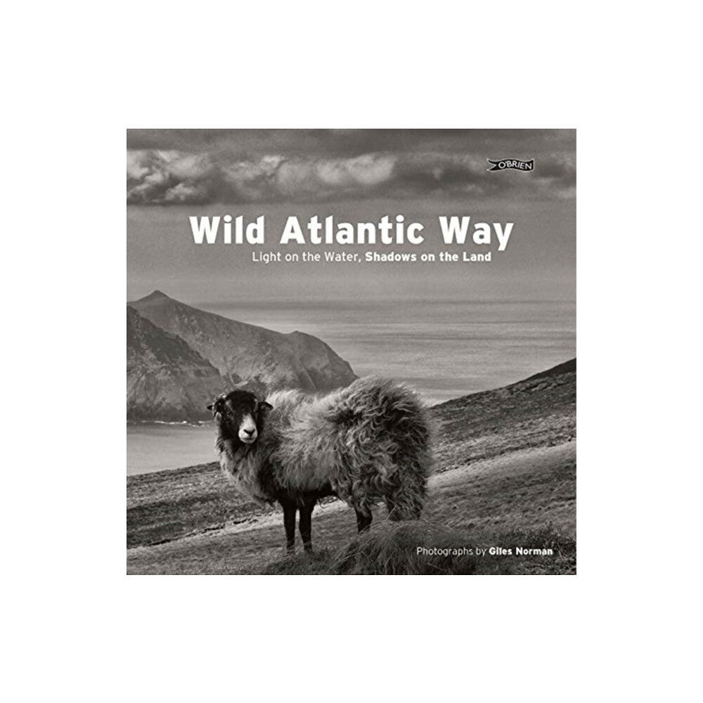 O'Brien Press Ltd Wild Atlantic Way (inbunden, eng)