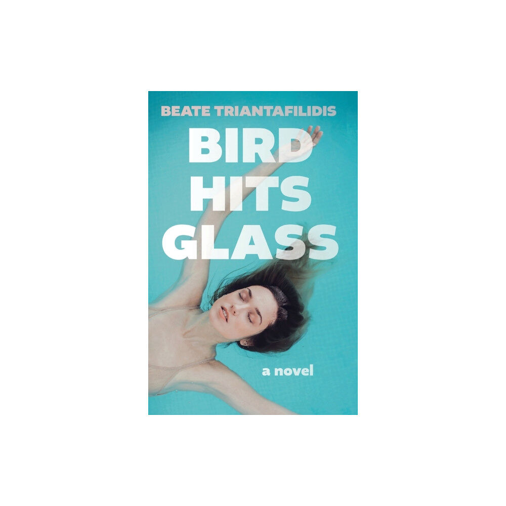 Troubador Publishing Bird Hits Glass (häftad, eng)