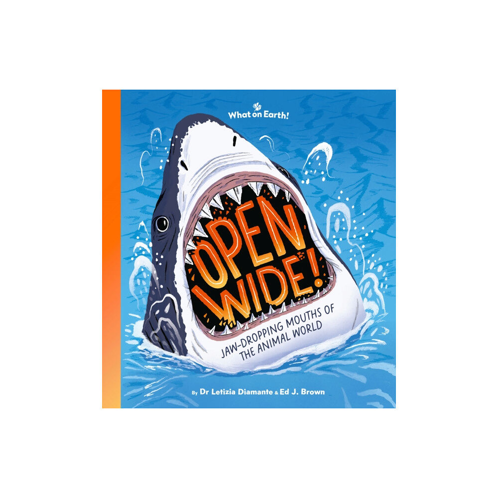 What on Earth Publishing Ltd Open Wide! (inbunden, eng)