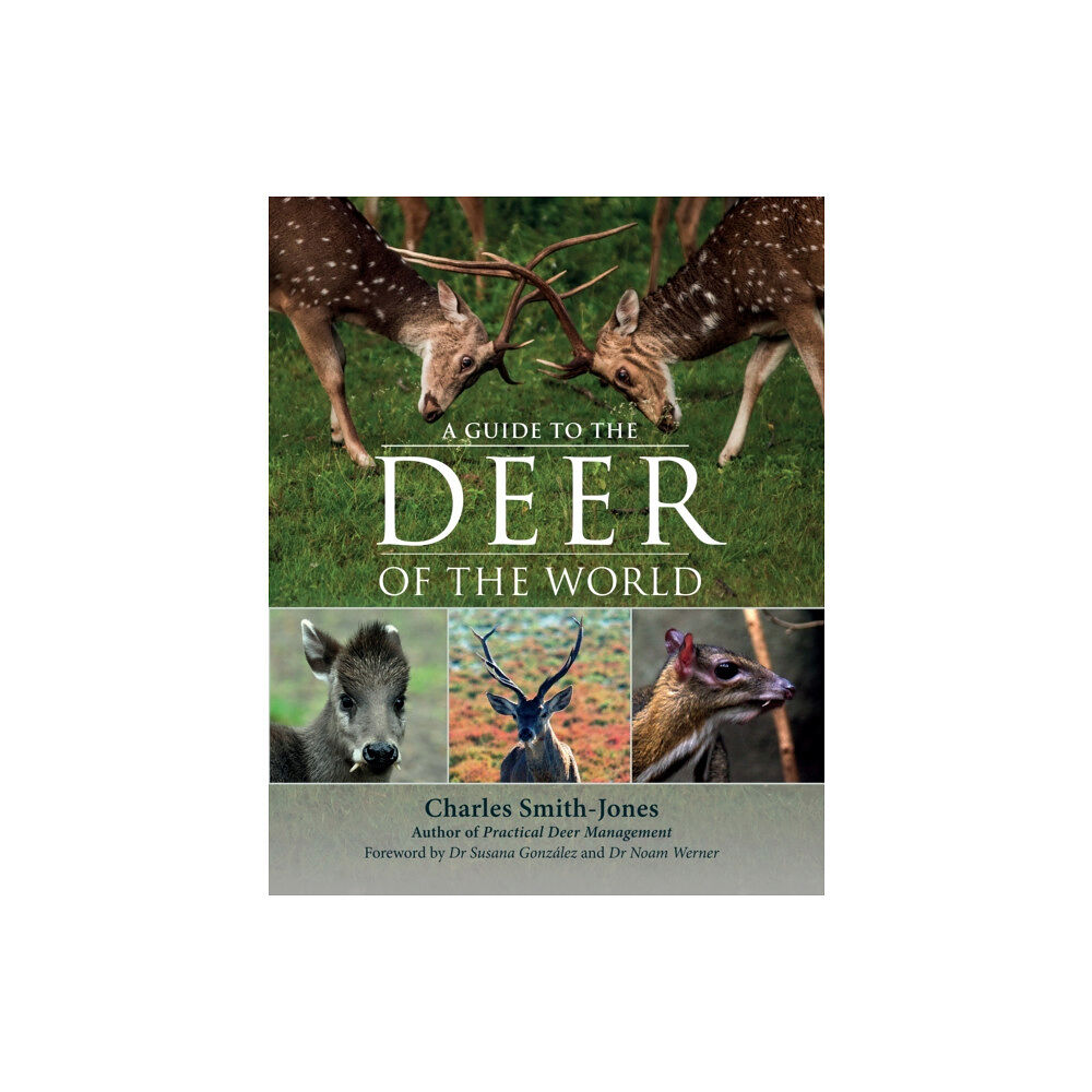 Quiller Publishing Ltd A Guide to the Deer of the World (inbunden, eng)