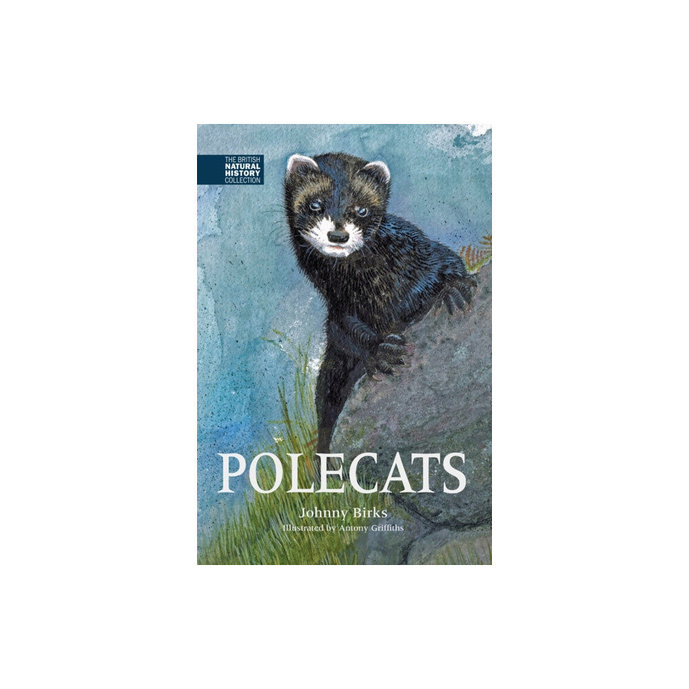 Whittet Books Ltd Polecats (inbunden, eng)