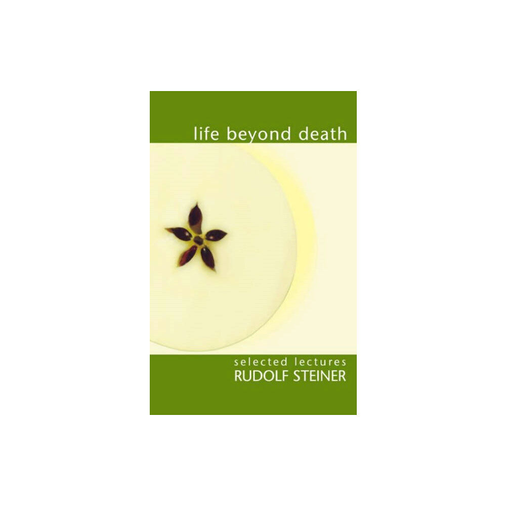 Rudolf Steiner Press Life Beyond Death (häftad, eng)