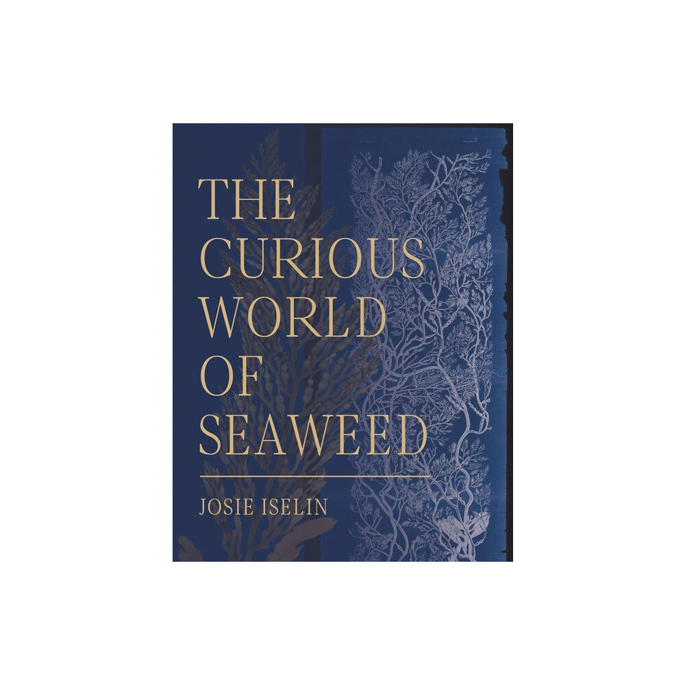 Heyday Books The Curious World of Seaweed (inbunden, eng)