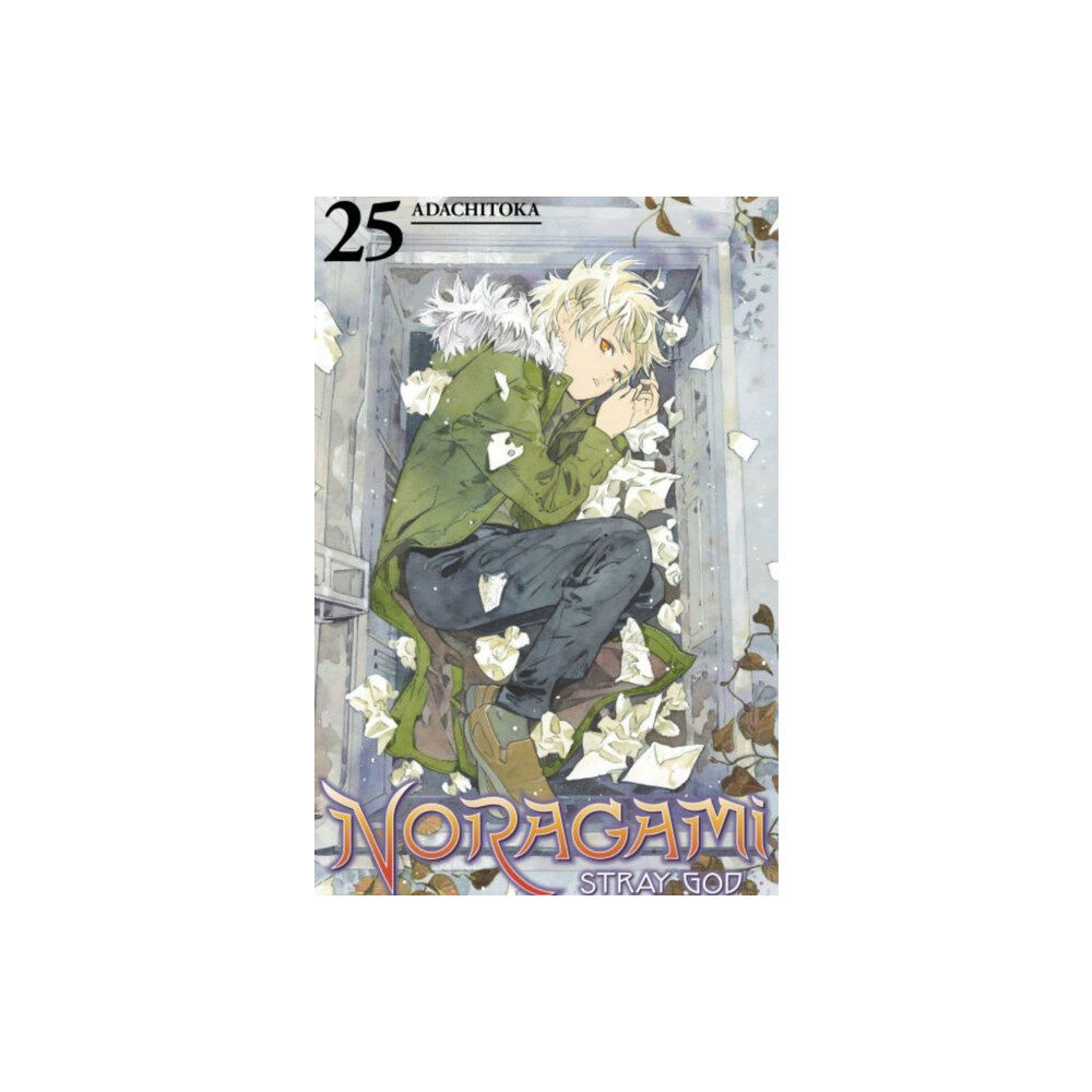 Kodansha America, Inc Noragami: Stray God 25 (häftad, eng)