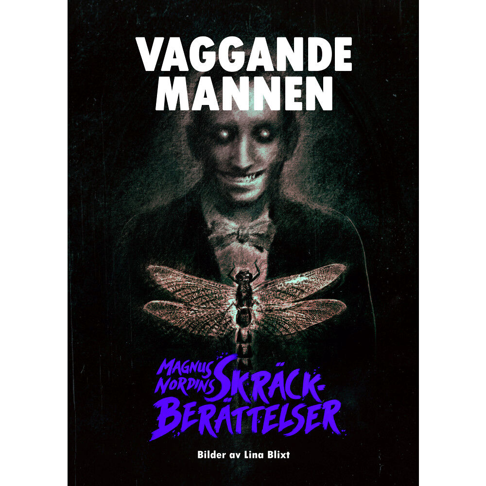 Magnus Nordin Vaggande mannen (inbunden)