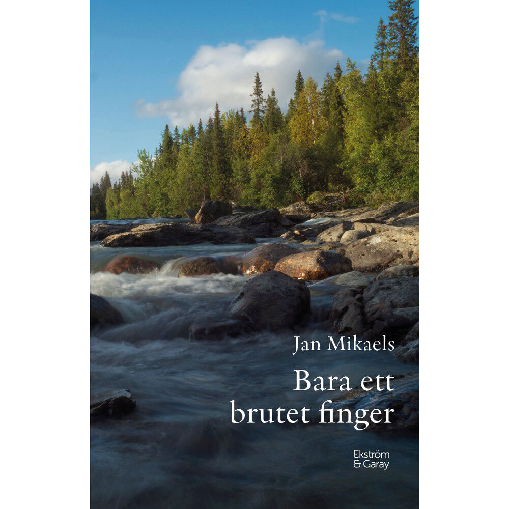 Jan Mikaels Bara ett brutet finger (bok, danskt band)