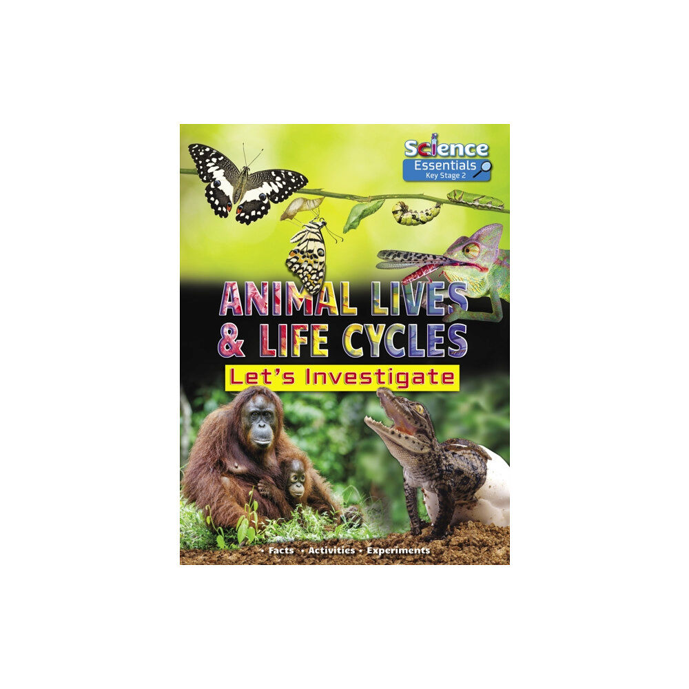 Ruby Tuesday Books Ltd Animal Lives and Life Cycles (häftad, eng)