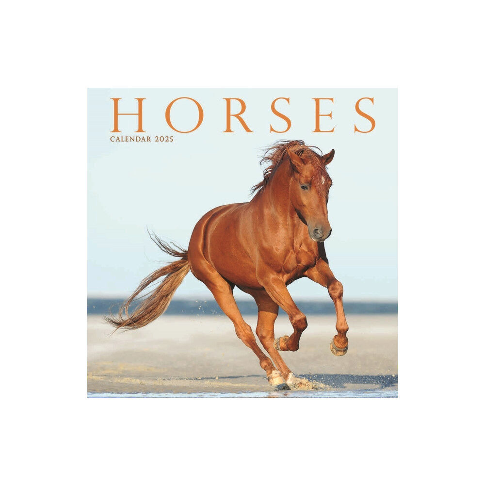 Avonside Publishing Ltd Horses Square Mini Calendar 2025 (häftad, eng)