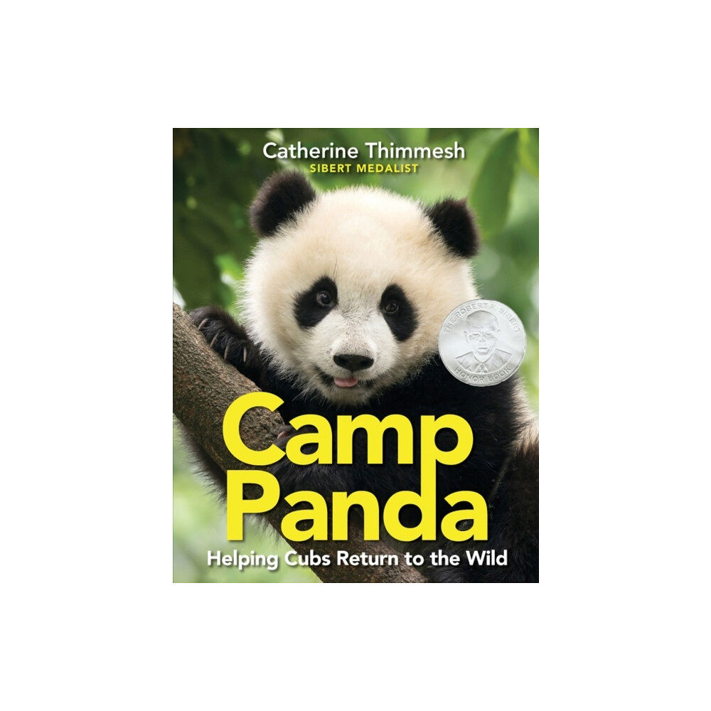 Harpercollins publishers inc Camp Panda (häftad, eng)