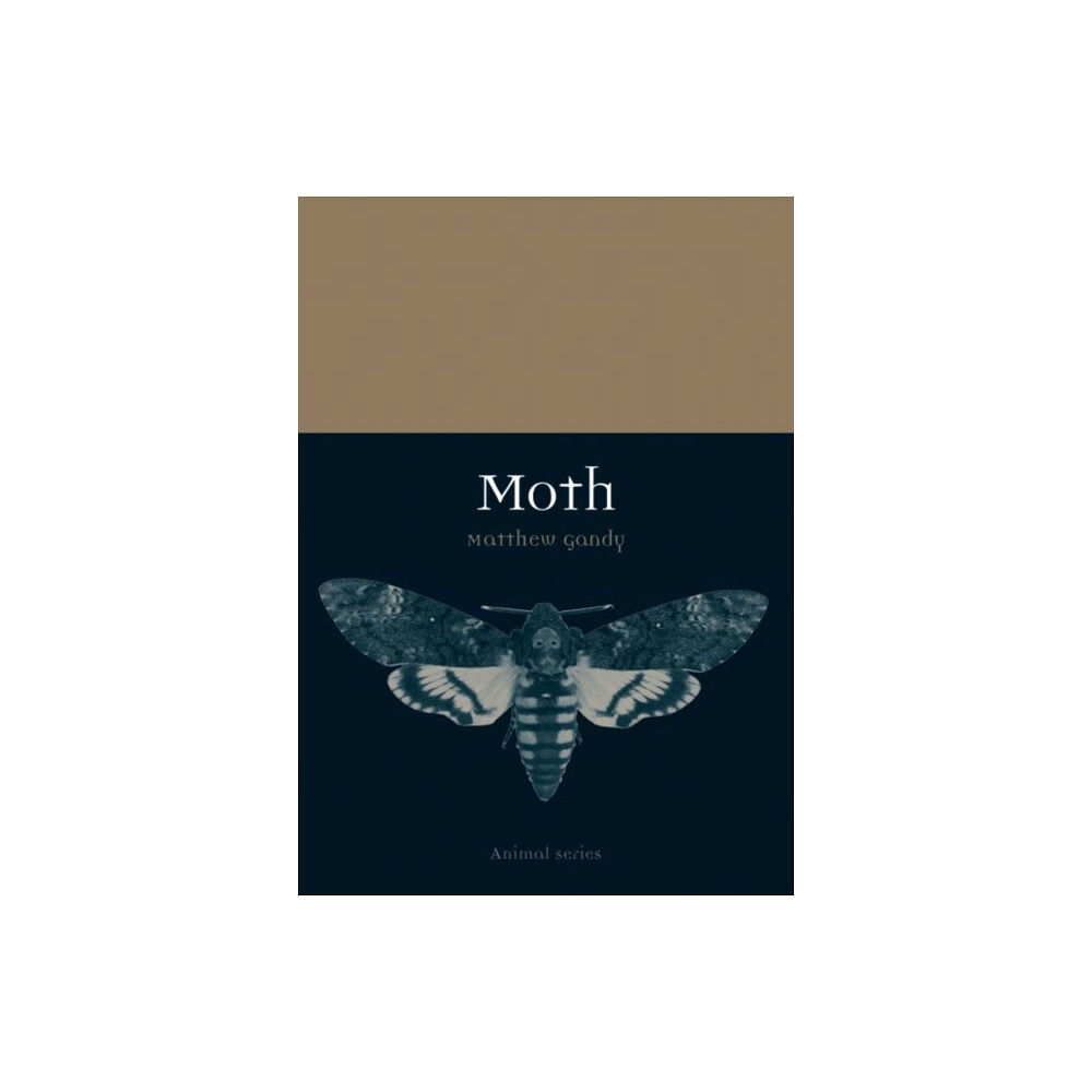 Reaktion Books Moth (häftad, eng)