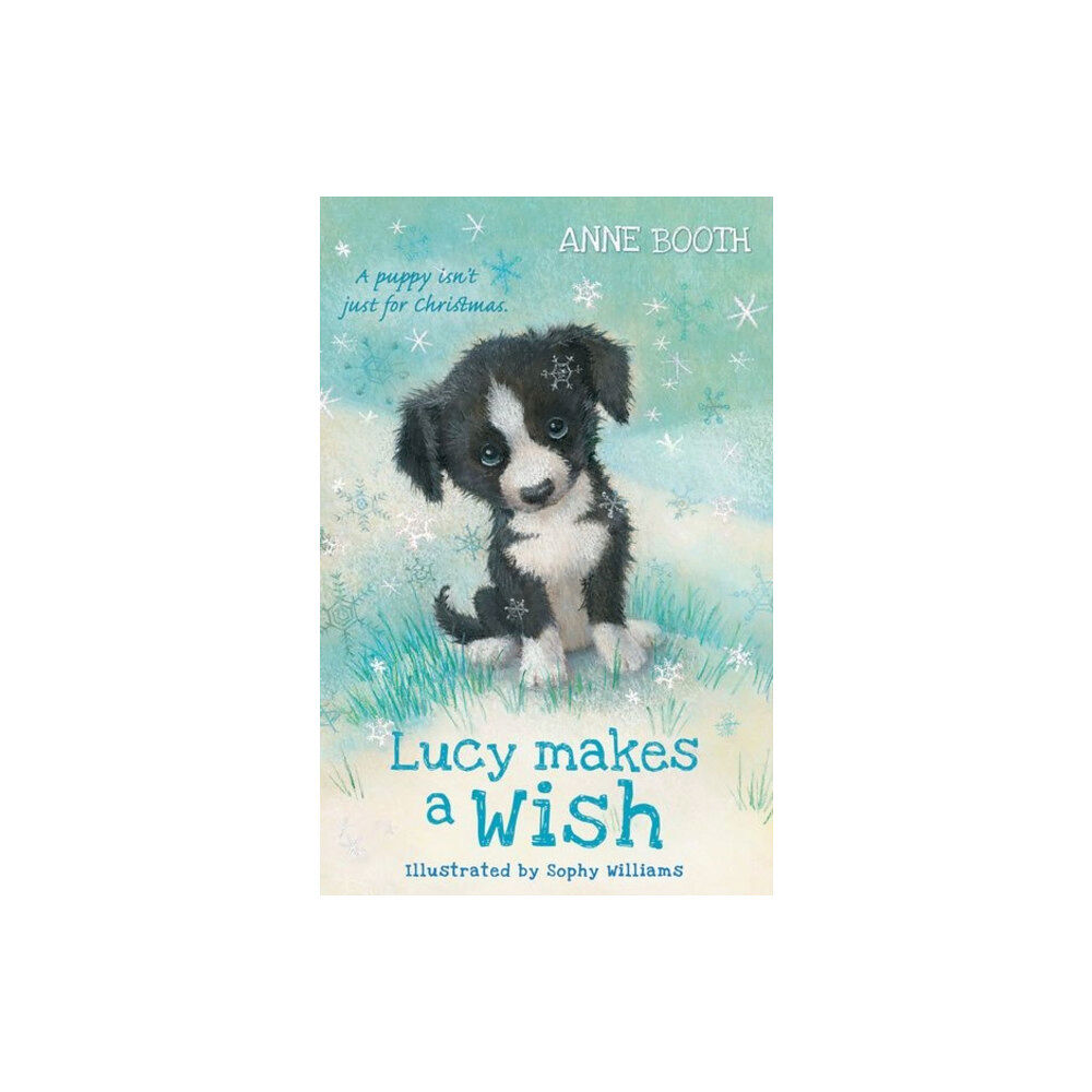 Oxford University Press Lucy Makes a Wish (häftad, eng)