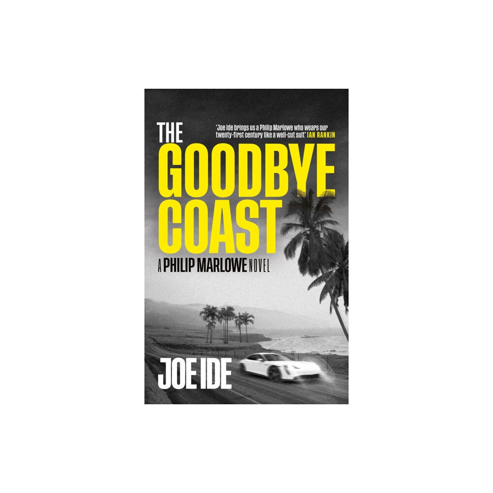 Orion Publishing Co The Goodbye Coast (häftad, eng)