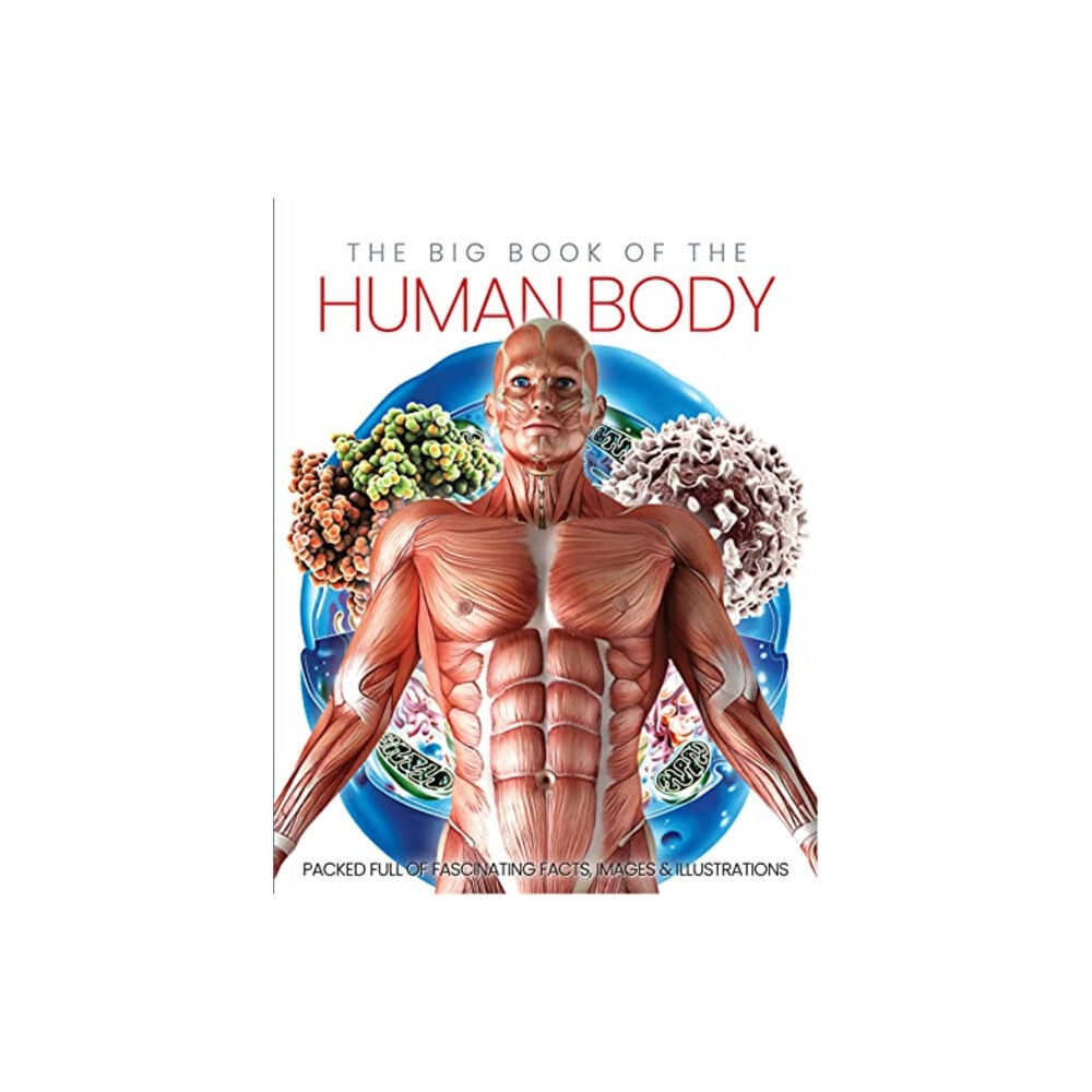 Danann Media Publishing Limited The Big Book of the Human body (inbunden, eng)