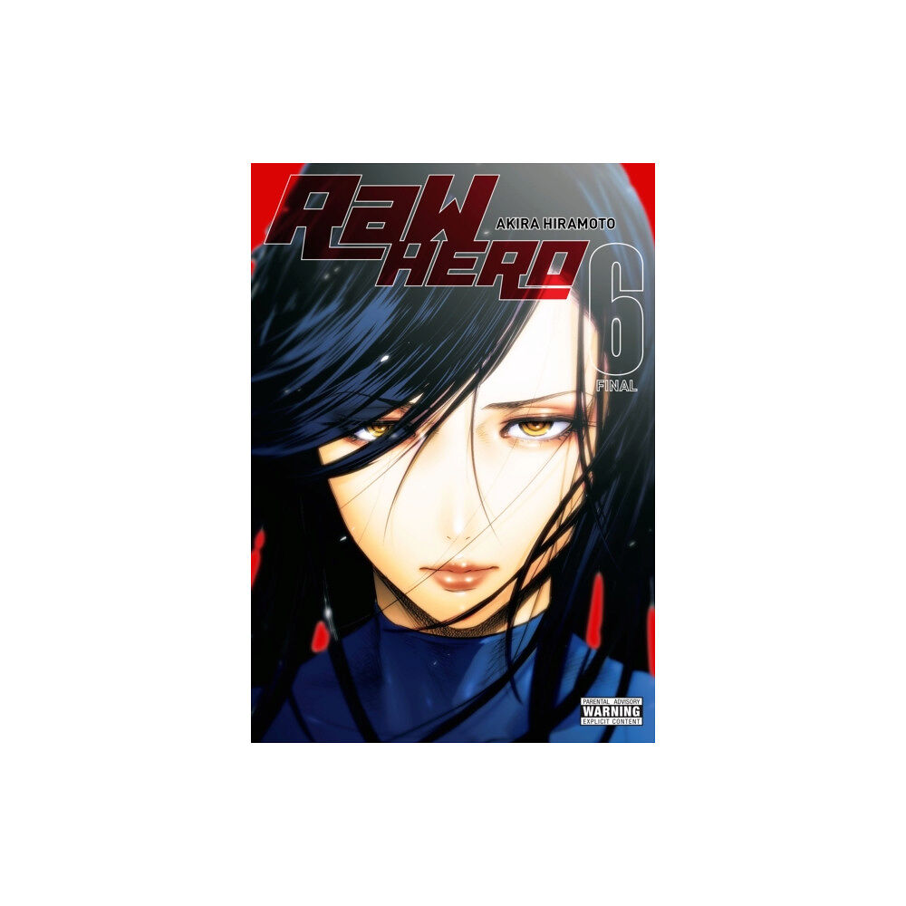 Little, Brown & Company RaW Hero, Vol. 6 (häftad, eng)