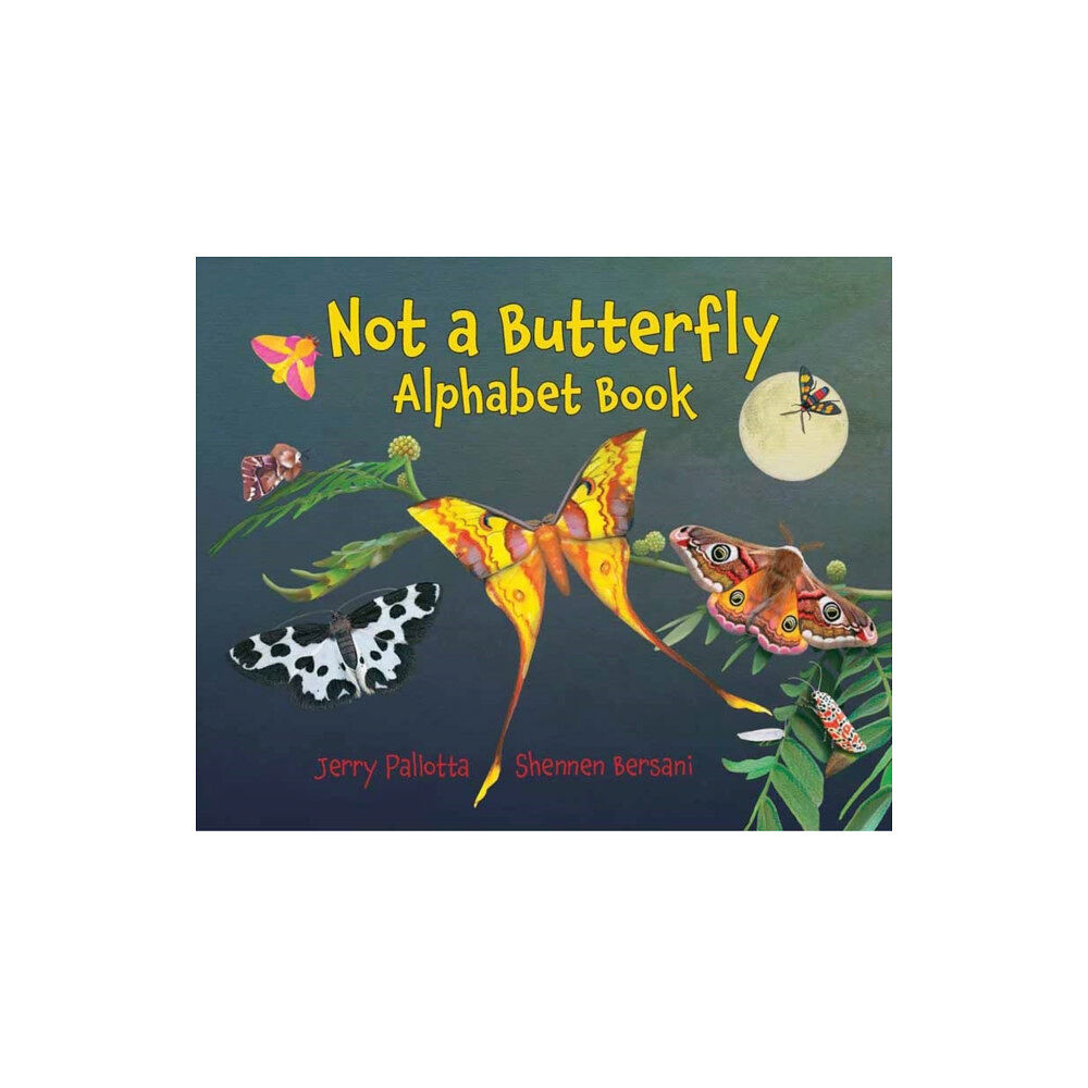 Charlesbridge Publishing,U.S. Not a Butterfly Alphabet Book (häftad, eng)