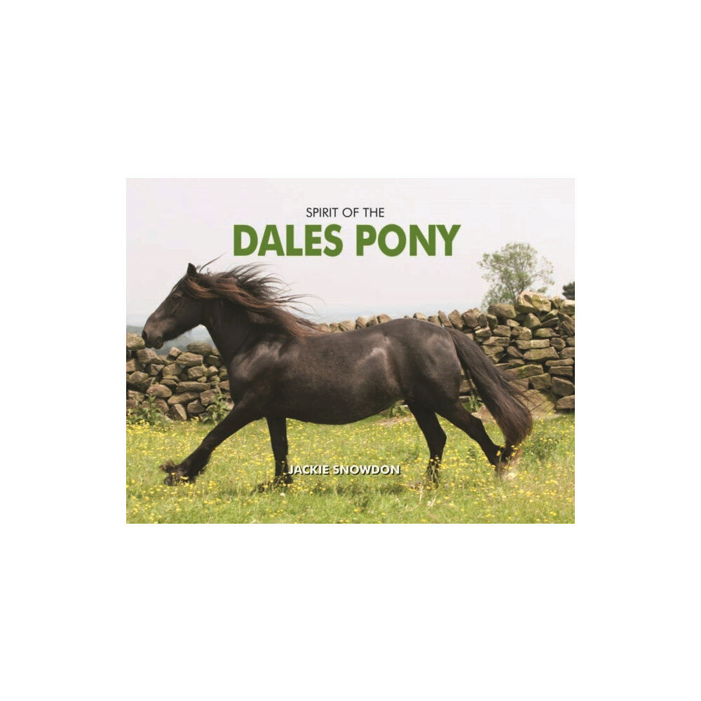 PiXZ Books Spirit of the Dales Pony (inbunden, eng)