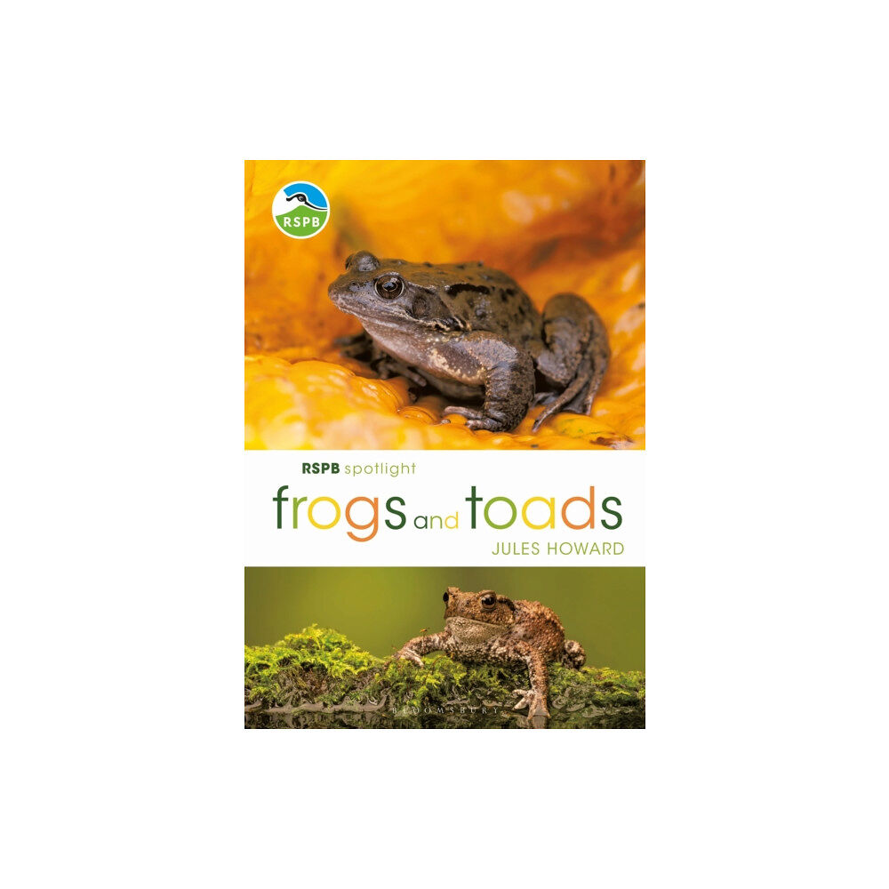 Bloomsbury Publishing PLC RSPB Spotlight Frogs and Toads (häftad, eng)