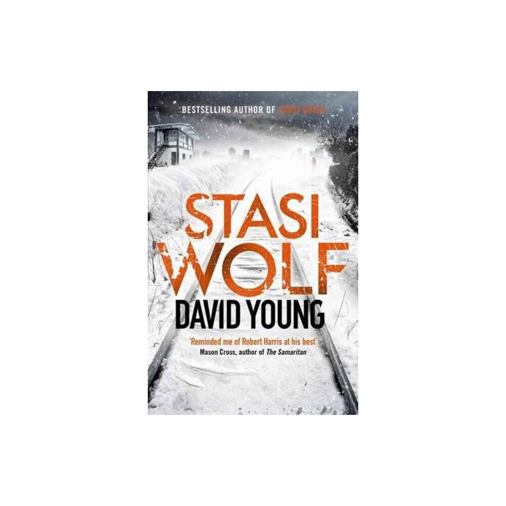 Zaffre Stasi Wolf (häftad, eng)