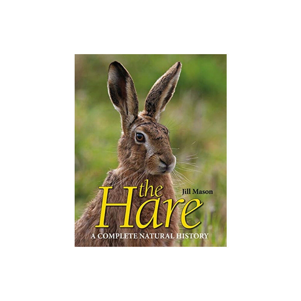 Merlin Unwin Books The Hare (inbunden, eng)