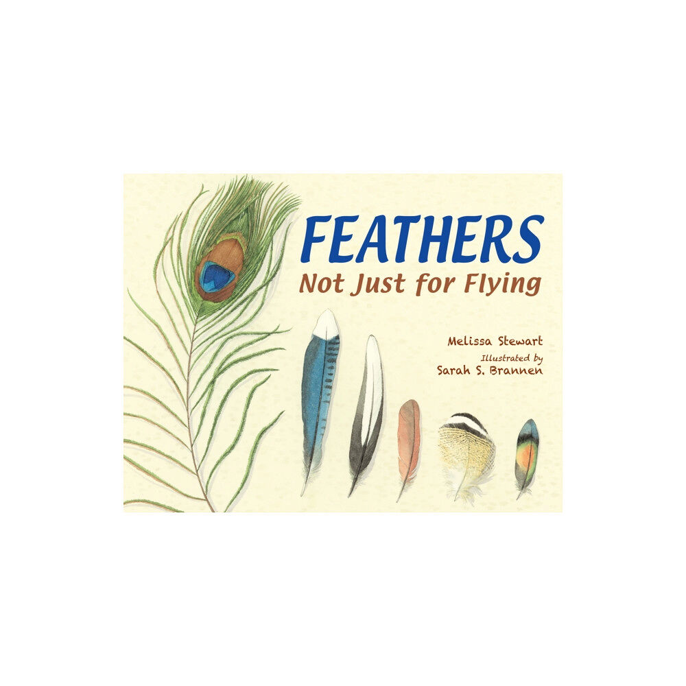 Charlesbridge Publishing,U.S. Feathers (häftad, eng)