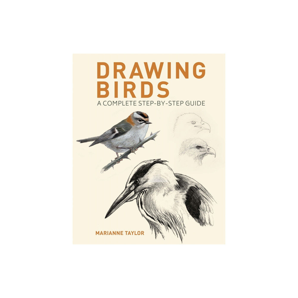 Arcturus publishing ltd Drawing Birds (häftad, eng)