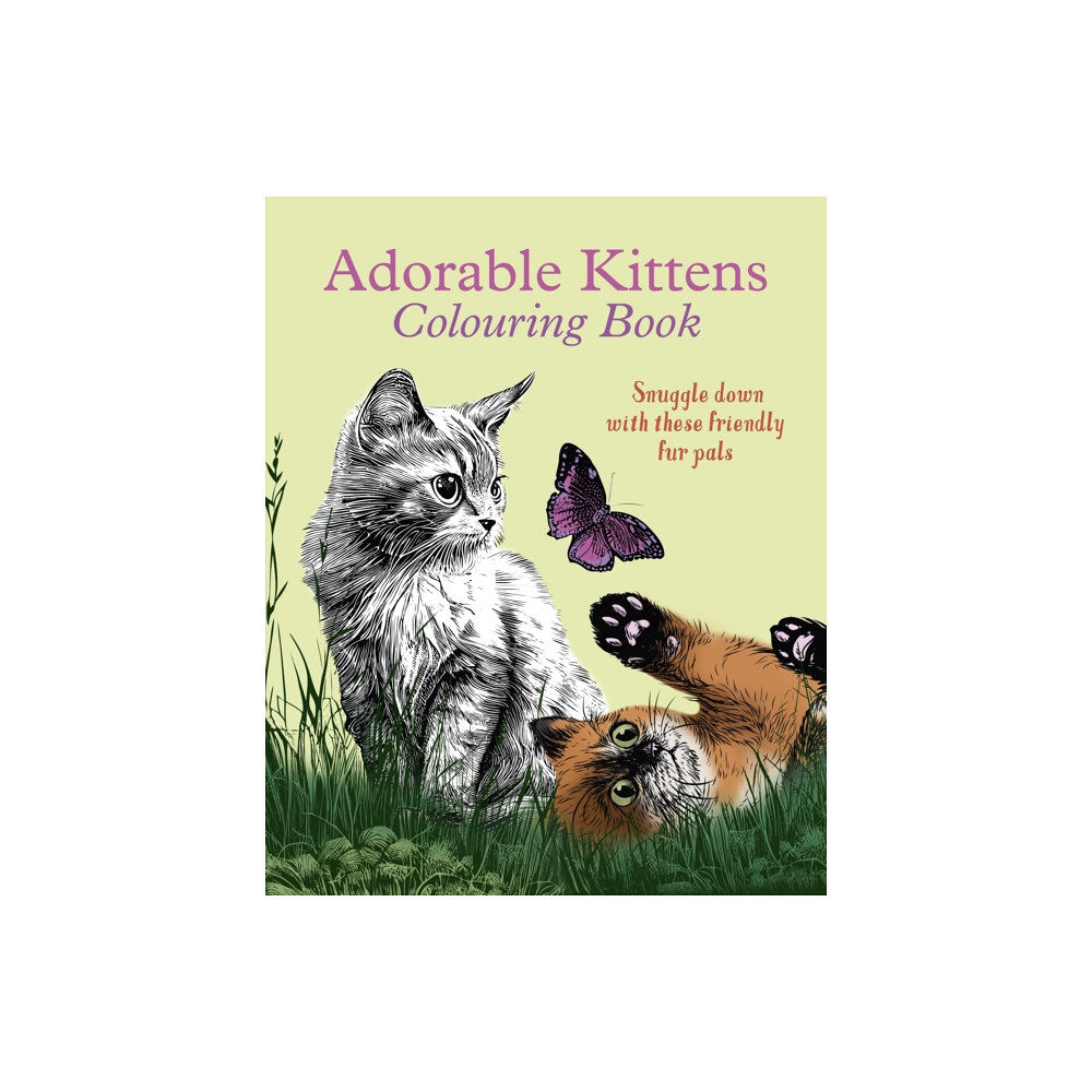 Arcturus publishing ltd Adorable Kittens Colouring Book (häftad, eng)