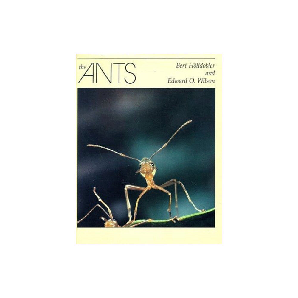 Harvard university press The Ants (inbunden, eng)