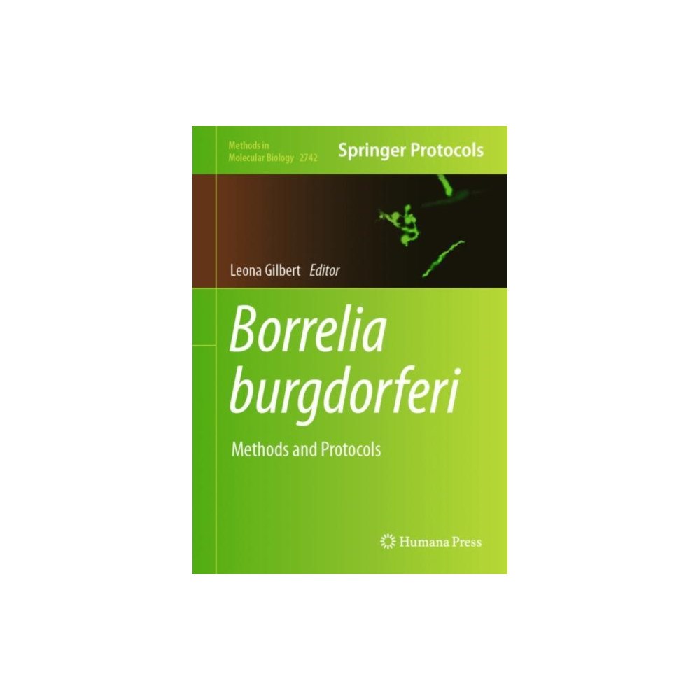 Springer-Verlag New York Inc. Borrelia burgdorferi (inbunden, eng)
