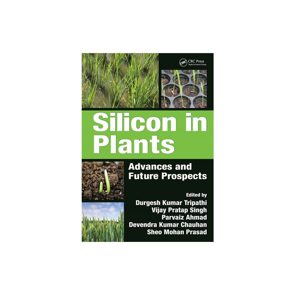 Taylor & francis ltd Silicon in Plants (häftad, eng)
