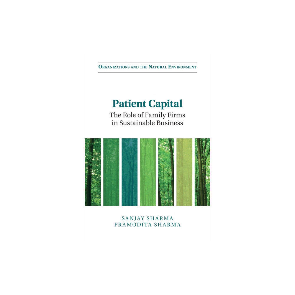 Cambridge University Press Patient Capital (häftad, eng)